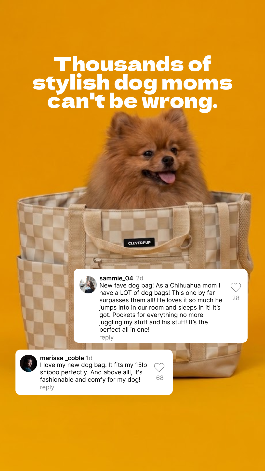 Cleverpup Facebook ad