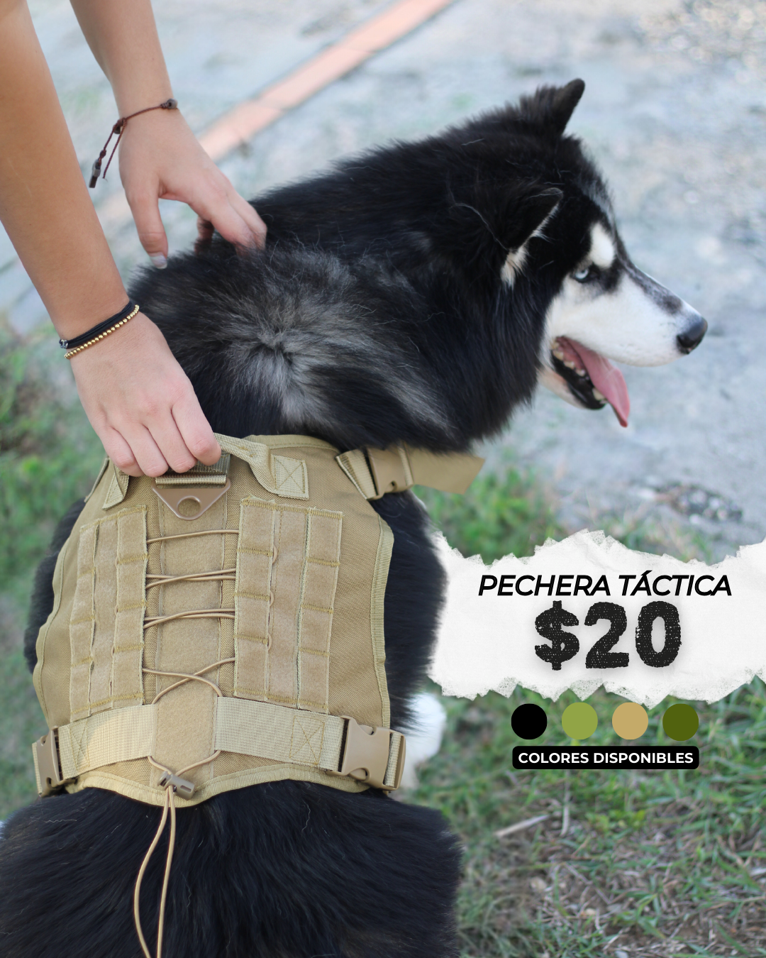 La Positiva Store Facebook ad