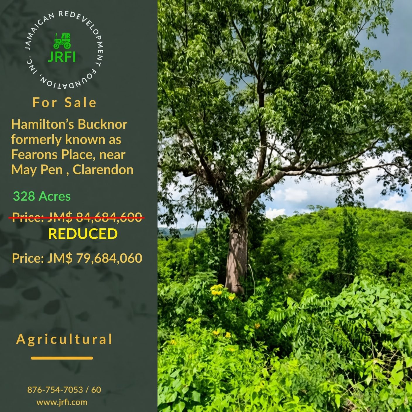 Jamaican Redevelopment Foundation INC. Facebook ad: Listing #: 544, Hamilton's Bucknor formerly known as…