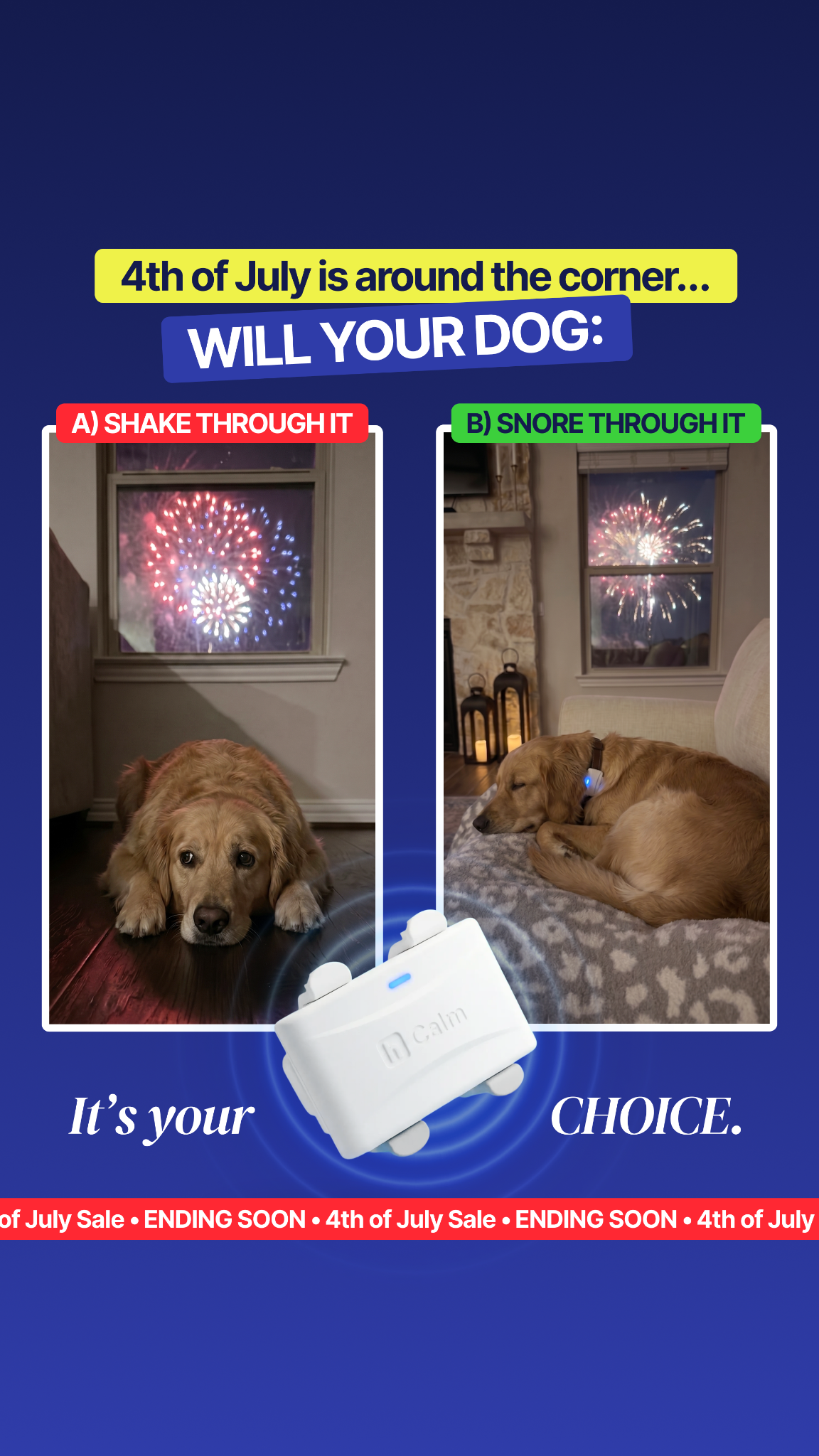 Helio Pet Facebook ad