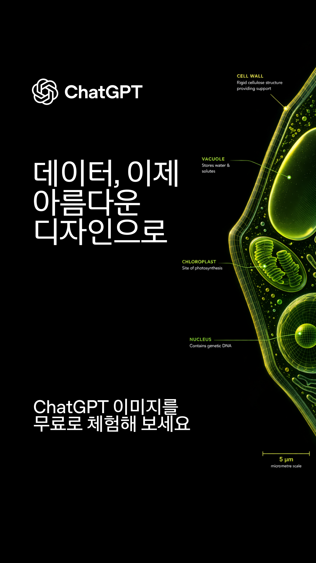 ChatGPT Facebook ad from Aug 6, 2026