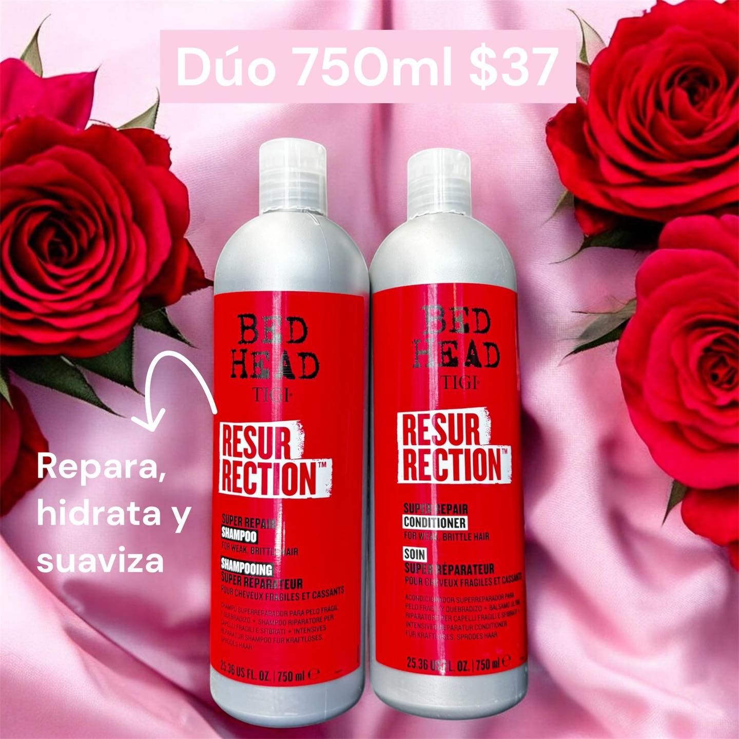 Piu Bella suc. mascotas Facebook ad: ¡PROMOCIONES EN PRODUCTOS DE CABELLO!