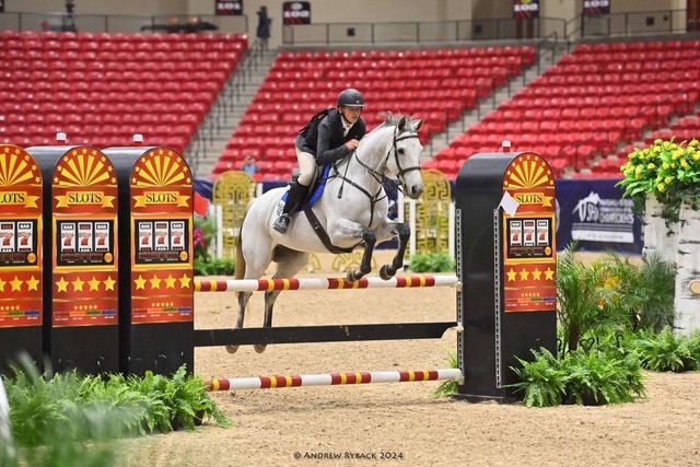 100X Equine Facebook ad