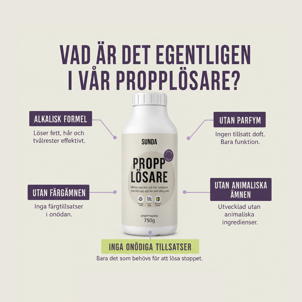 Sunda Facebook ad