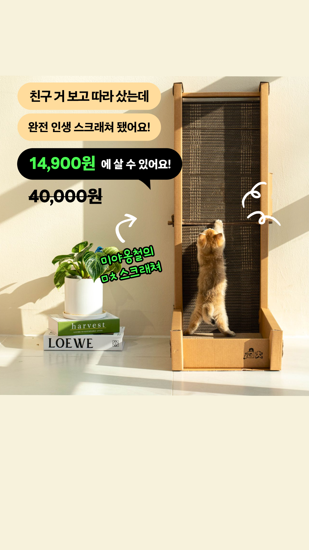 펫프렌즈 - 반려동물 1등 쇼핑몰 Facebook ad from Aug 25, 2025