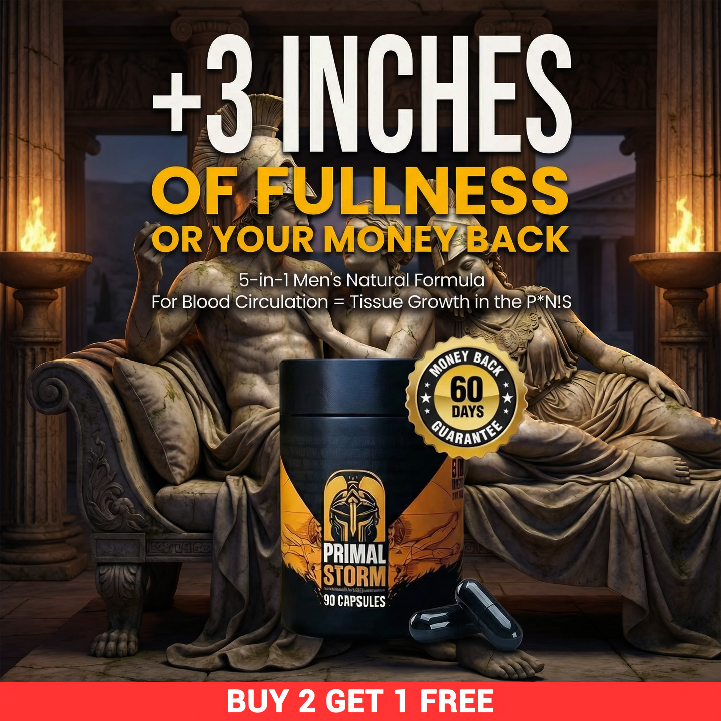 Primal-Storm Facebook ad