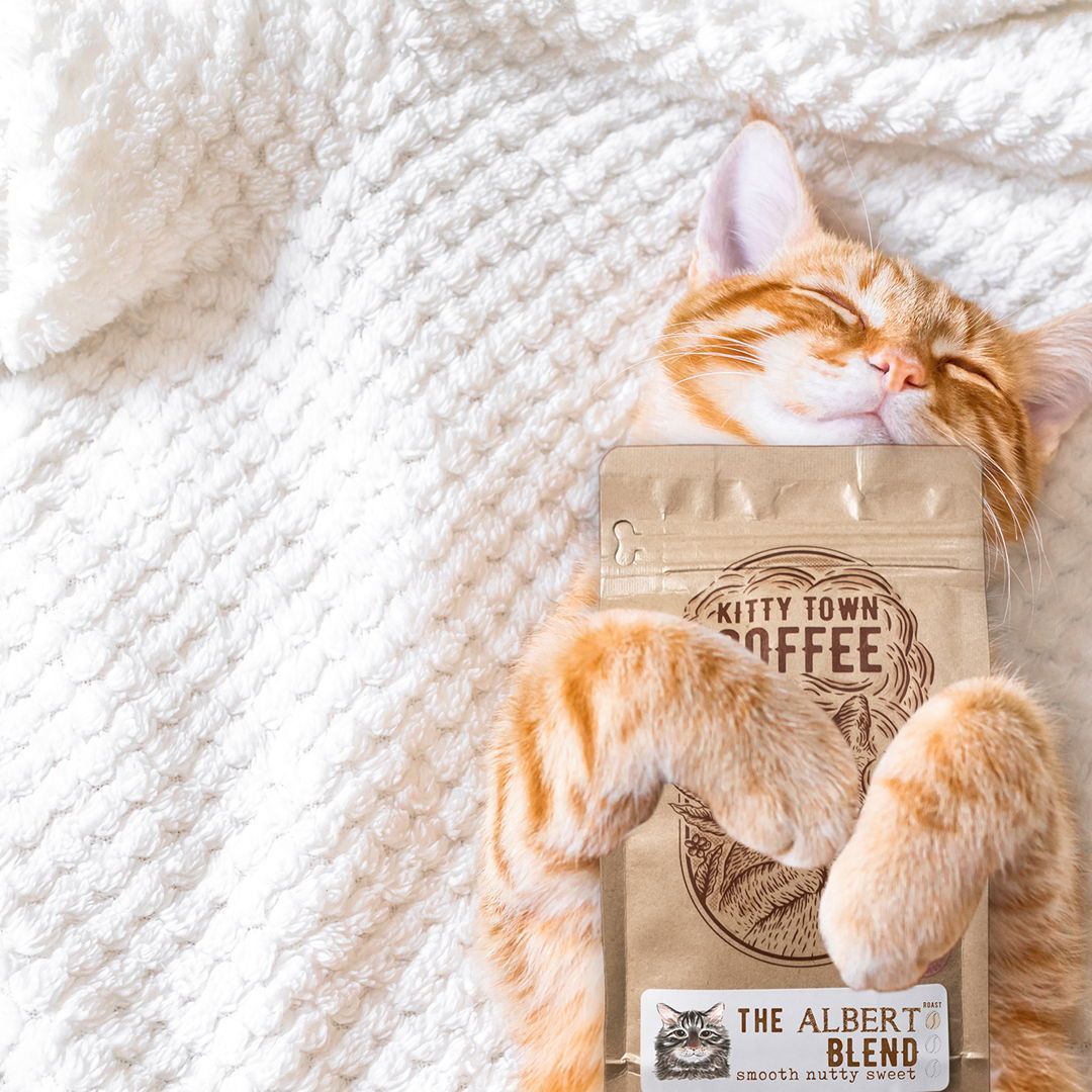 Kitty Town Coffee Facebook ad