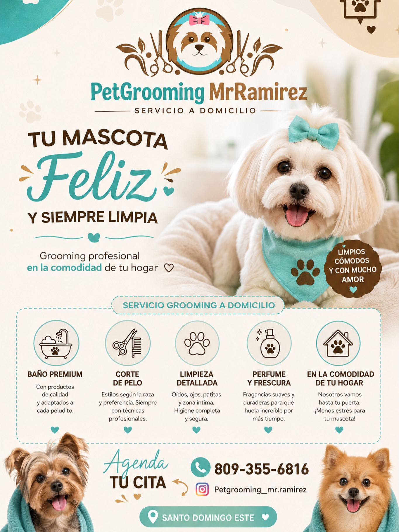 petgrooming_mr.ramirez Facebook ad: ¡Tu peludito merece verse y sentirse increíble!