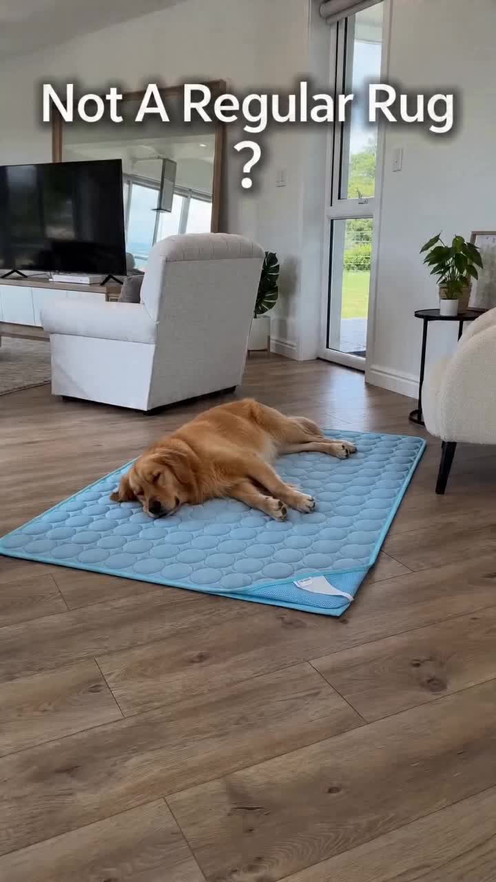 Neattidyly.ad Facebook ad: News - Pet Cooling Mat