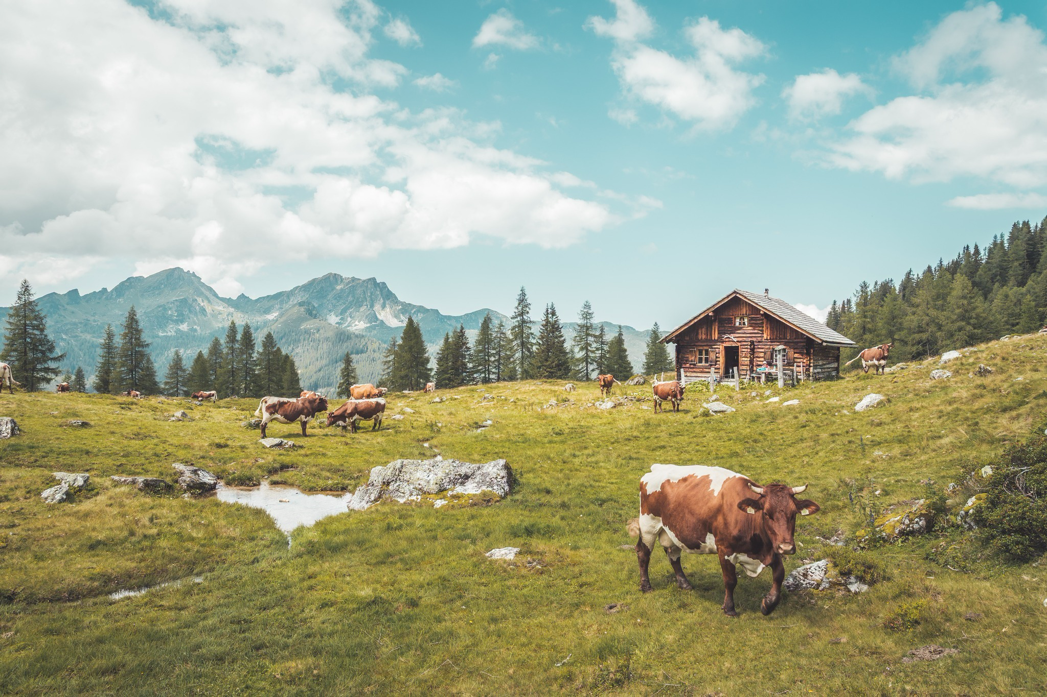 Welthaus Graz Facebook ad: Hinter den Almkulissen, eine Wanderung mit Weitblick