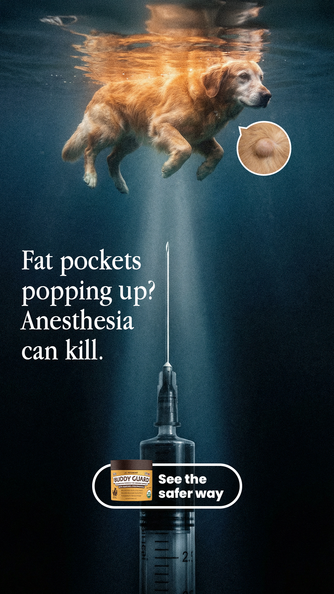 Petsmont Facebook ad