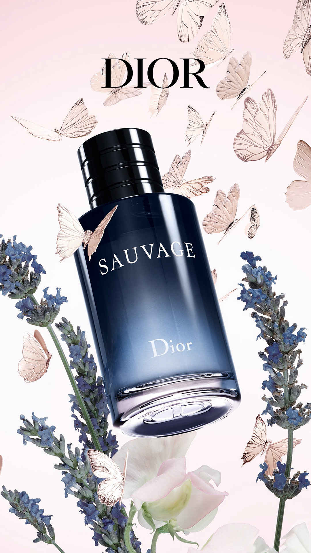Dior Facebook ad