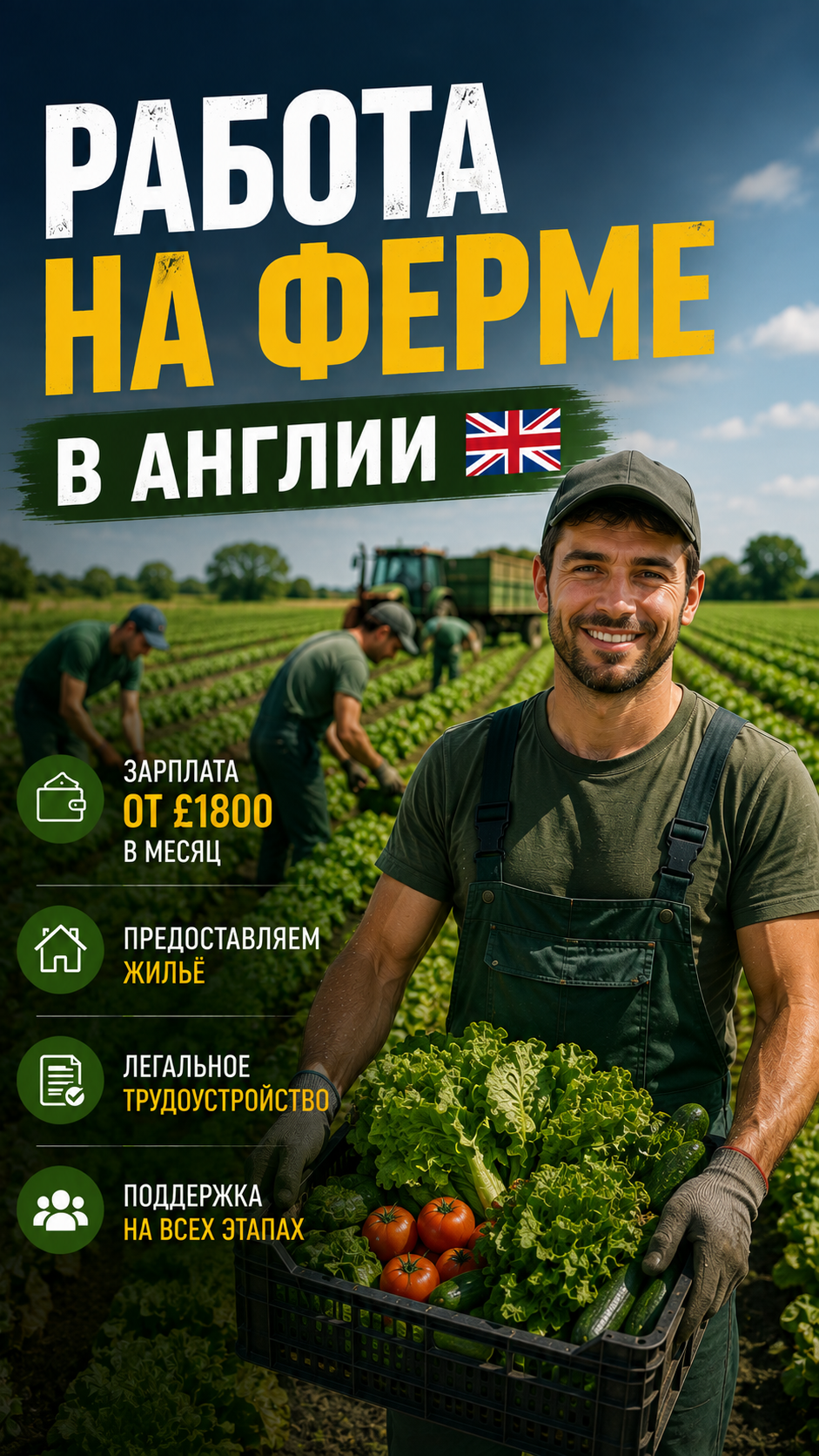 Job Bridge Company Facebook ad: Работа в UK, Природа возможностей