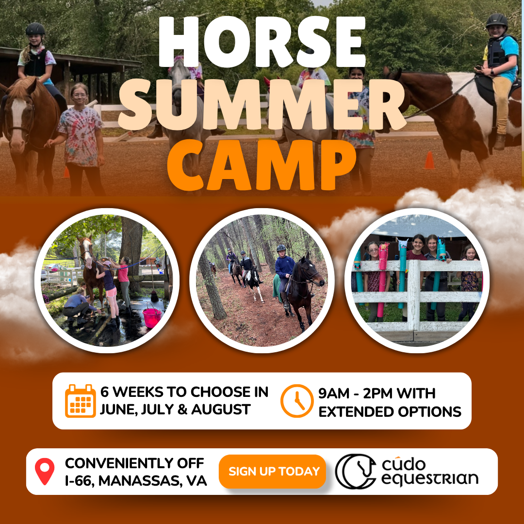 Cudo Equestrian Facebook ad: Summer Horse Camp, Limited Spots