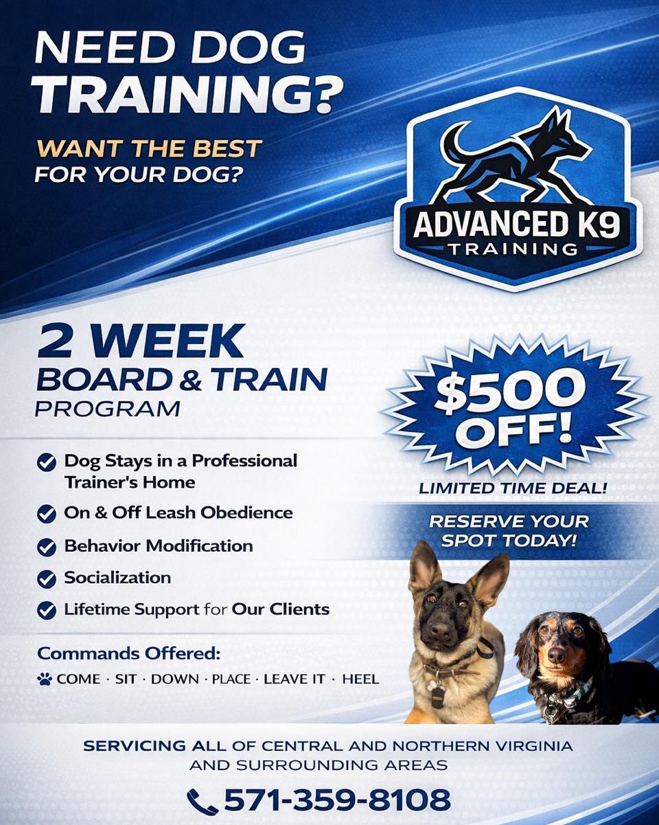 Advanced K9 Training Facebook ad: $500 OFF Our 2 Week Board & Train!