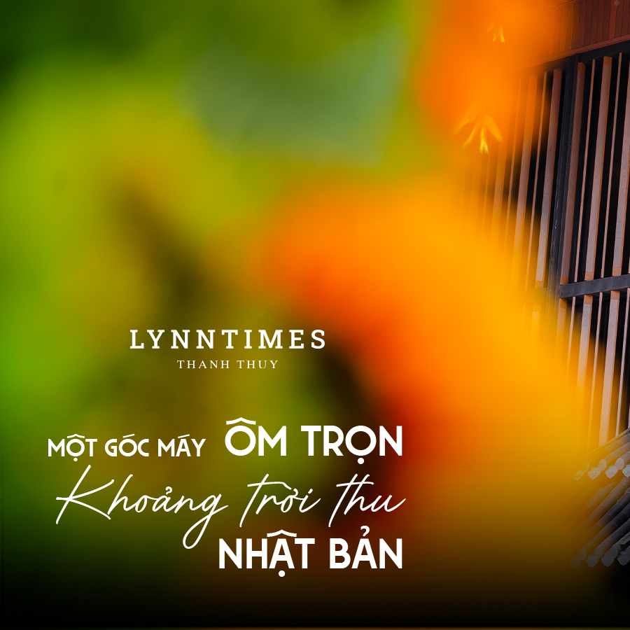 Lynn Times Thanh Thủy Facebook ad