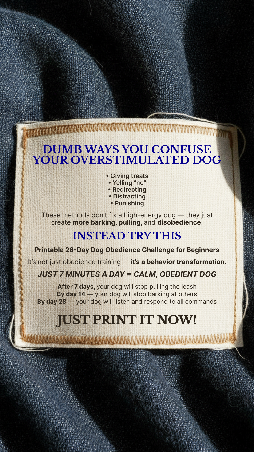 28 Day Dog Obedience Challenge Facebook ad