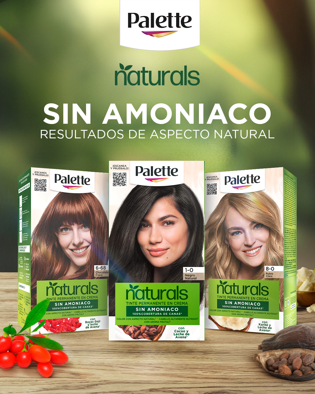 anaktorresr Facebook ad: Palette Henkel