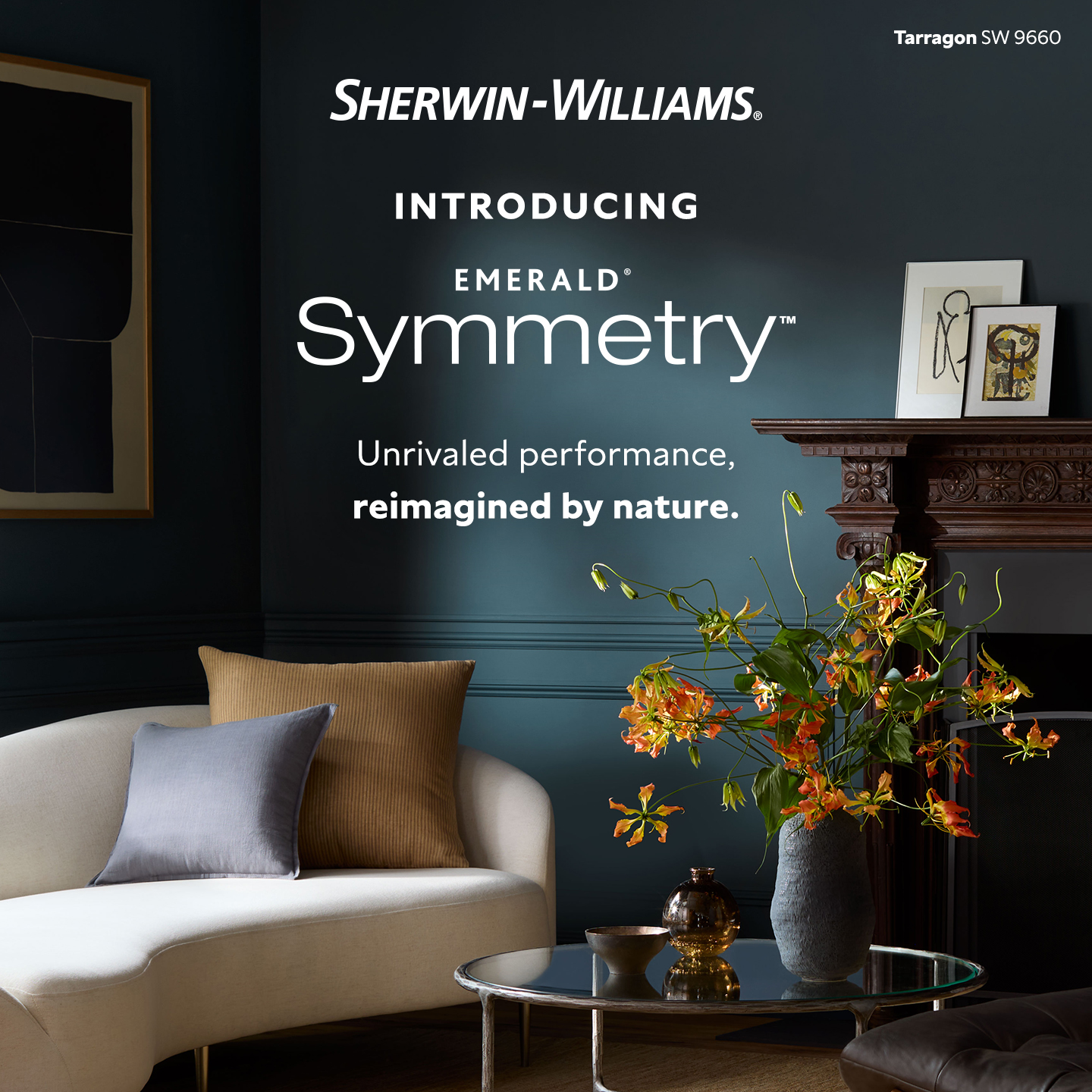 Sherwin-Williams Facebook ad