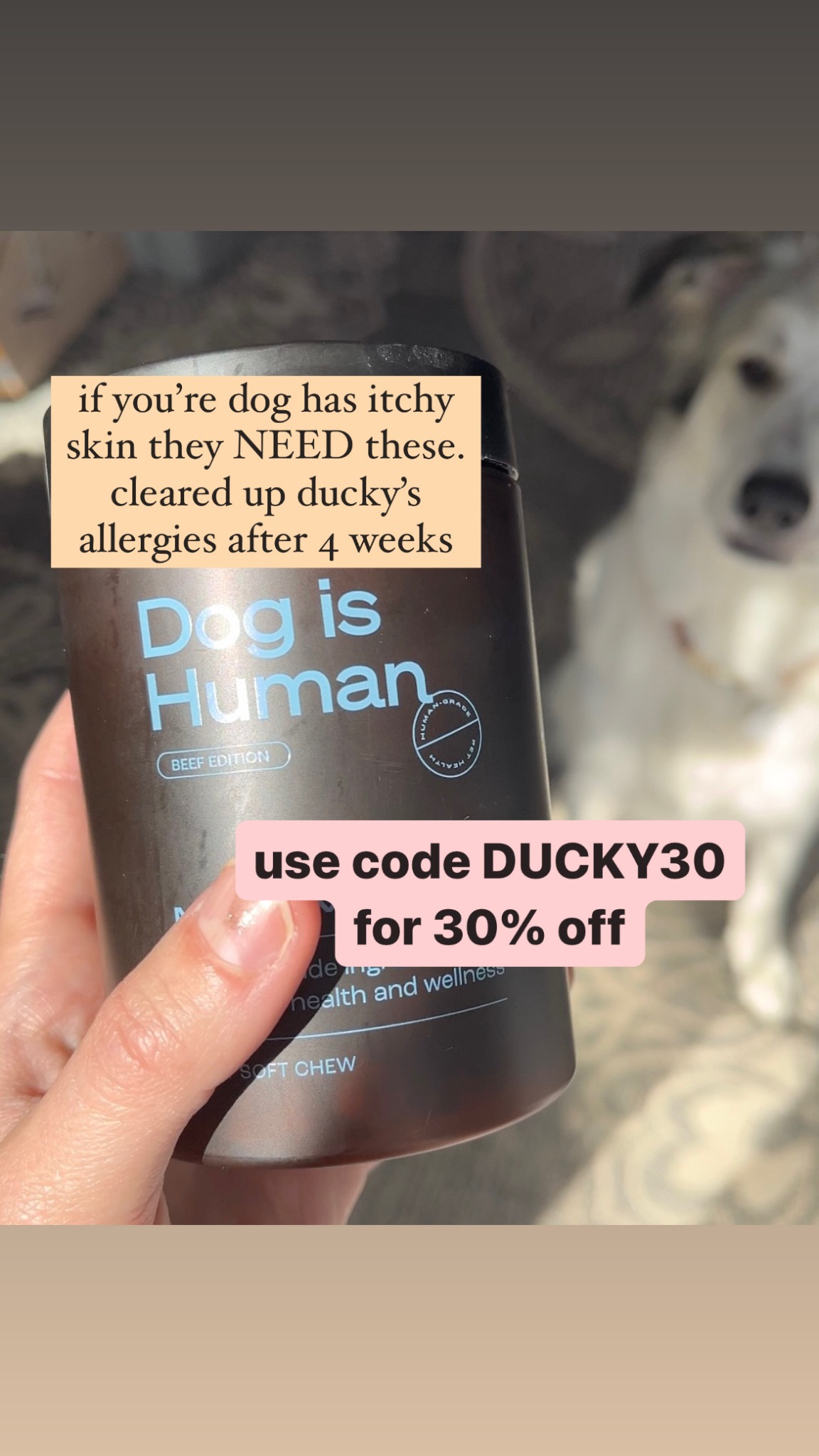 A Dog Called Ducky Facebook ad