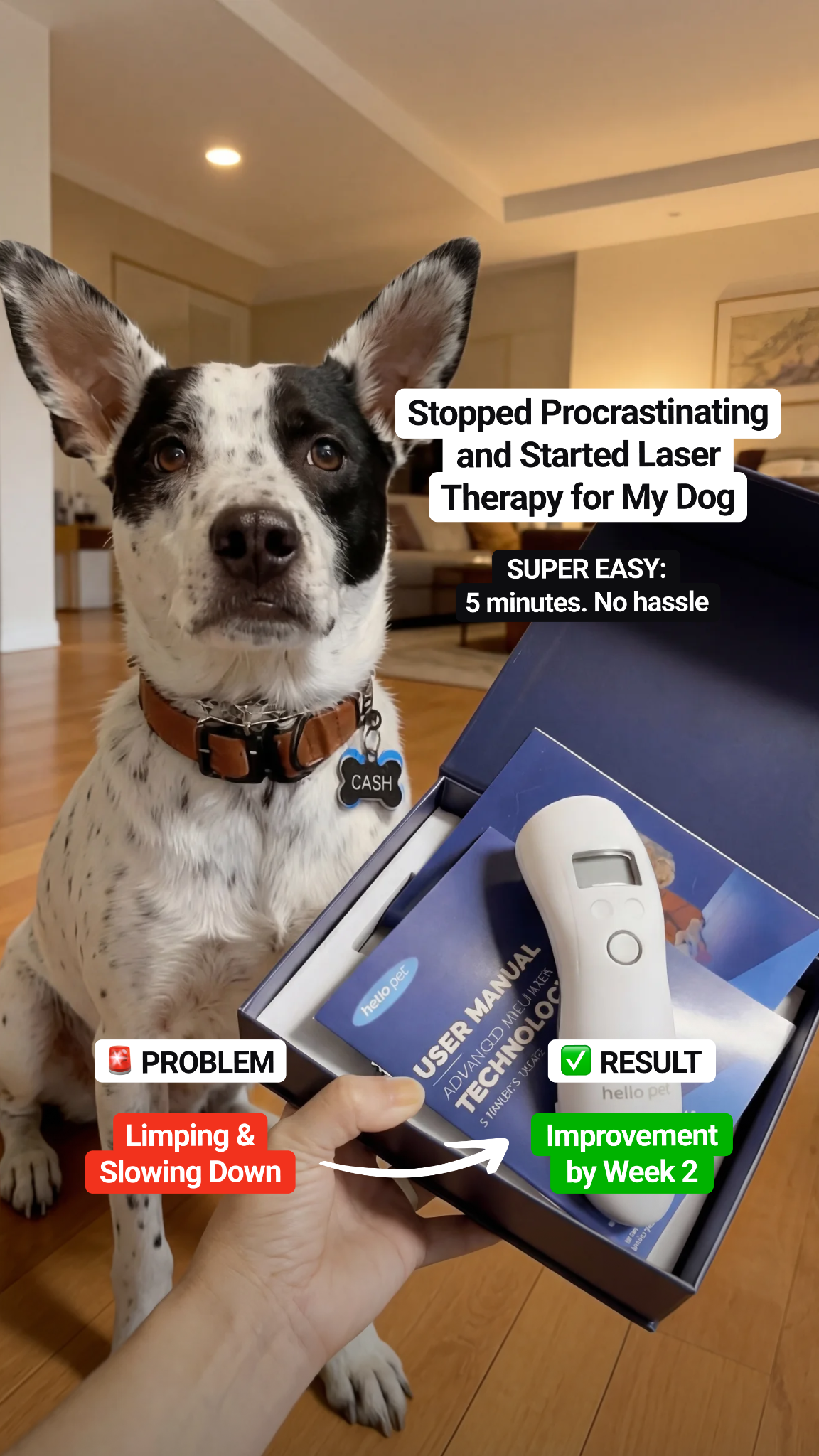 Helio Pet Facebook ad