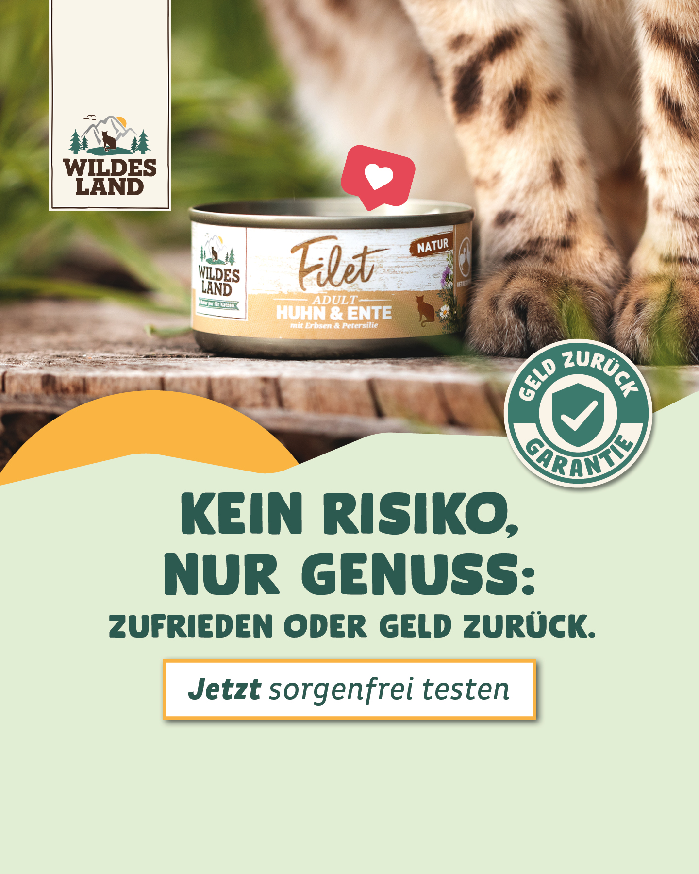 Wildes Land Facebook ad