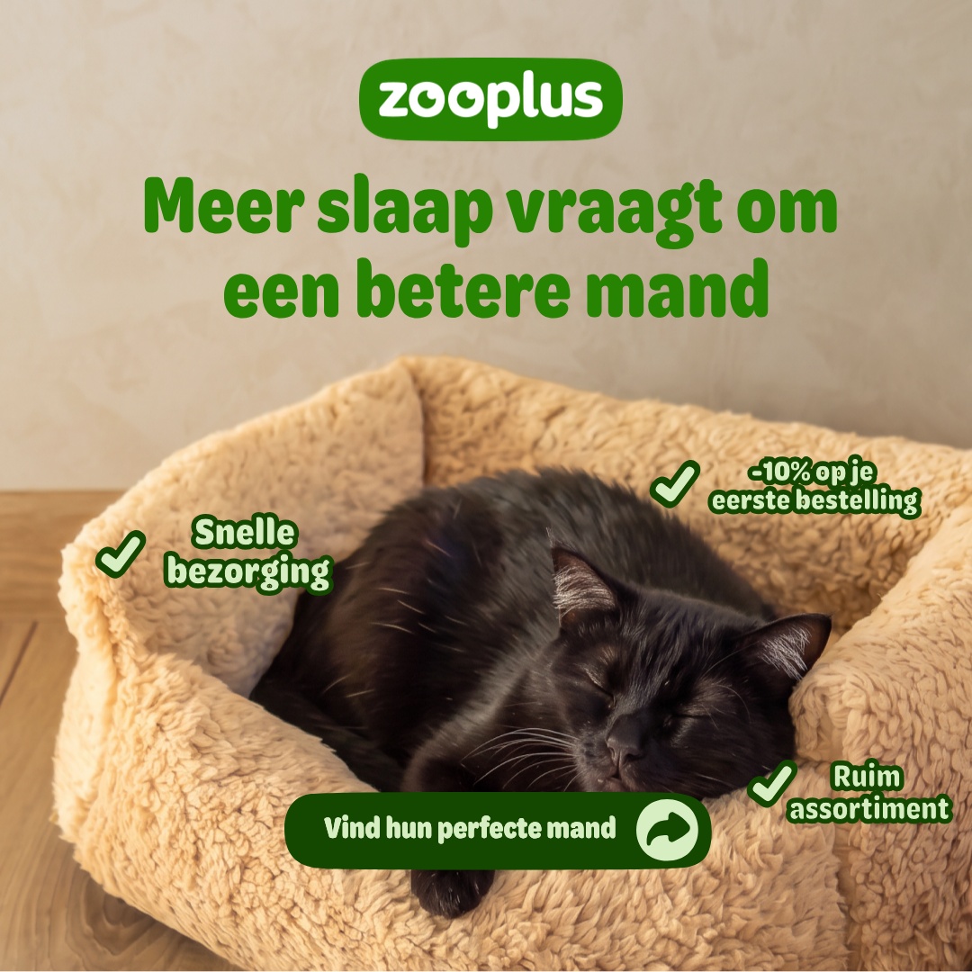 zooplus Facebook ad: Kattenmanden & kattenholletjes Selecteer uit 336 producten.