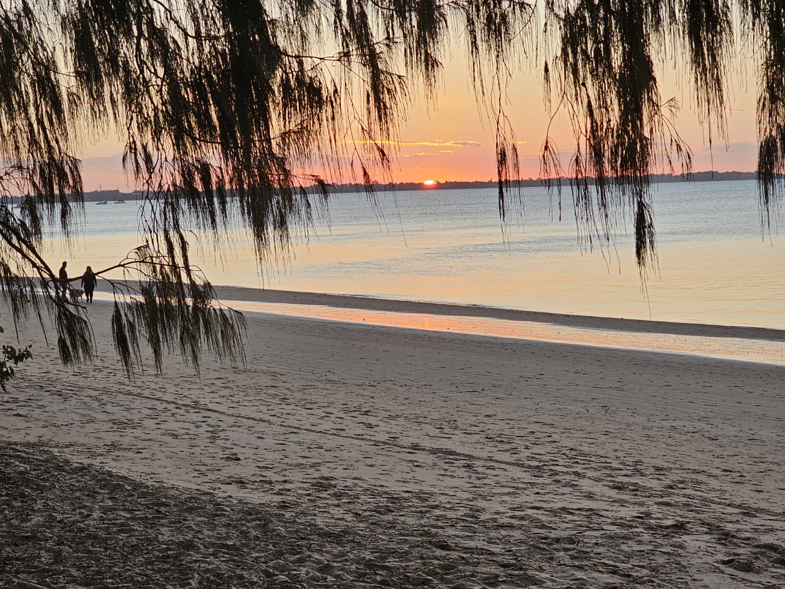Fraser Coast Mental Health Facebook ad: Fraser Coast Mental Health, a dedicated online platform…
