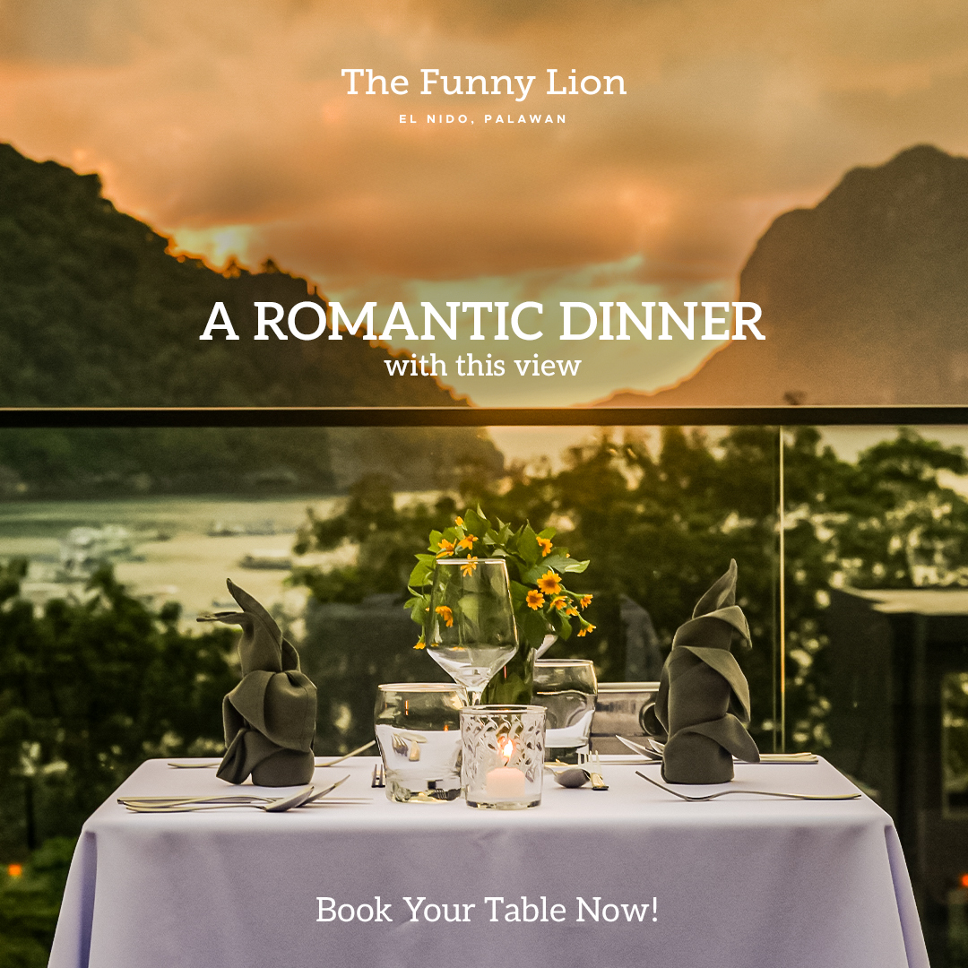 The Funny Lion - El Nido Facebook ad from Jun 4, 2026