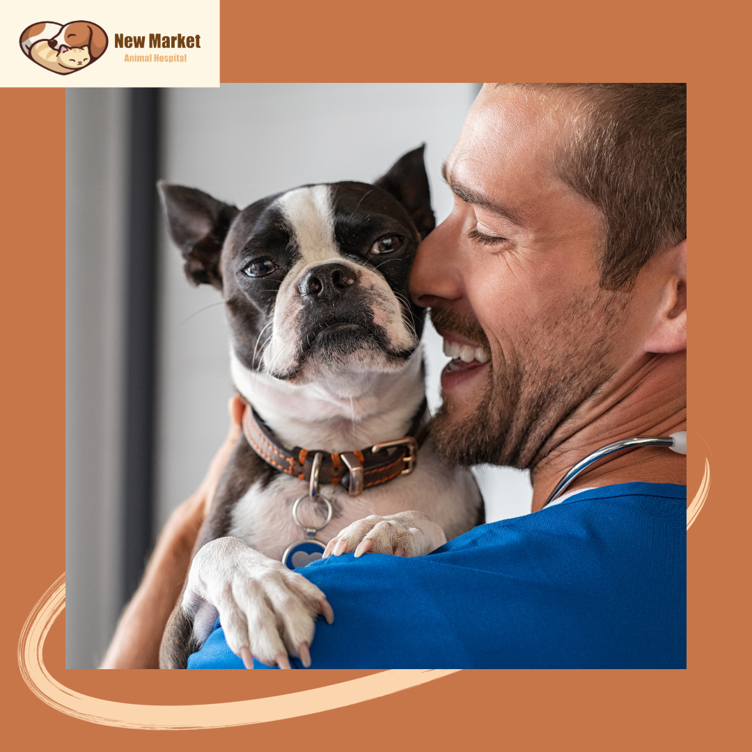 New Market Animal Hospital Facebook ad