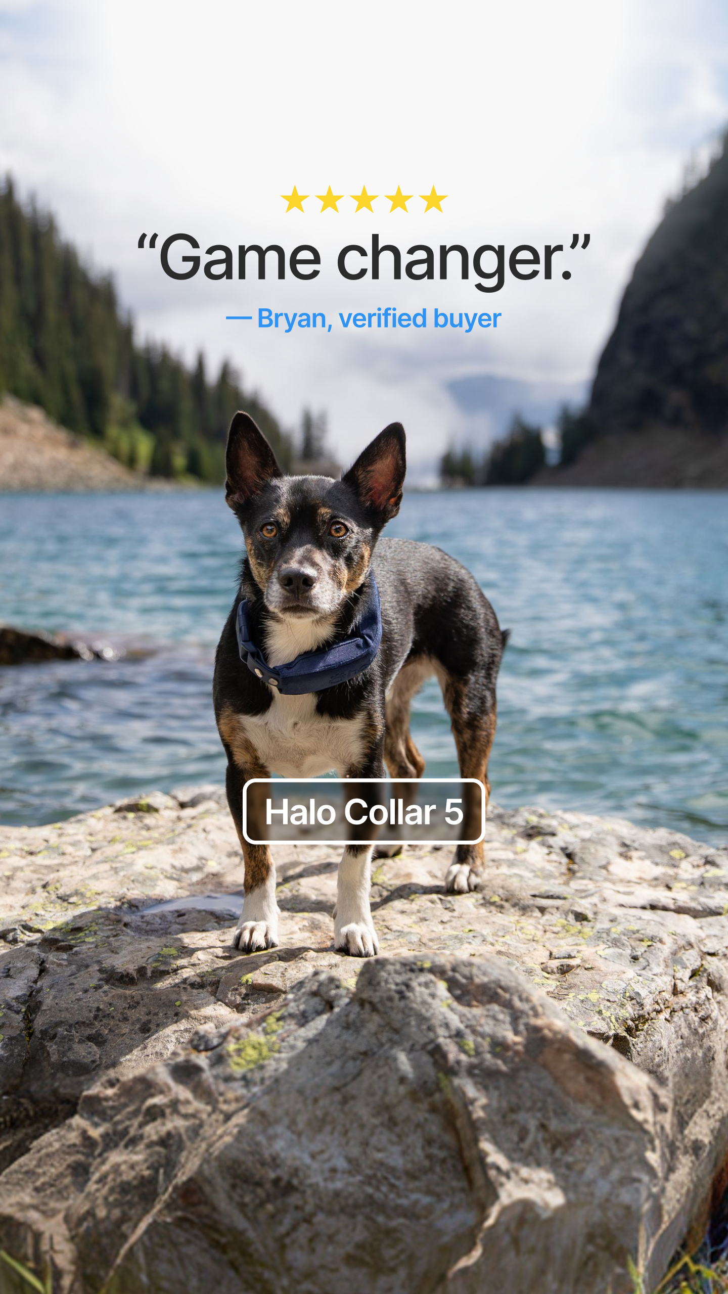 Halo Collar Facebook ad