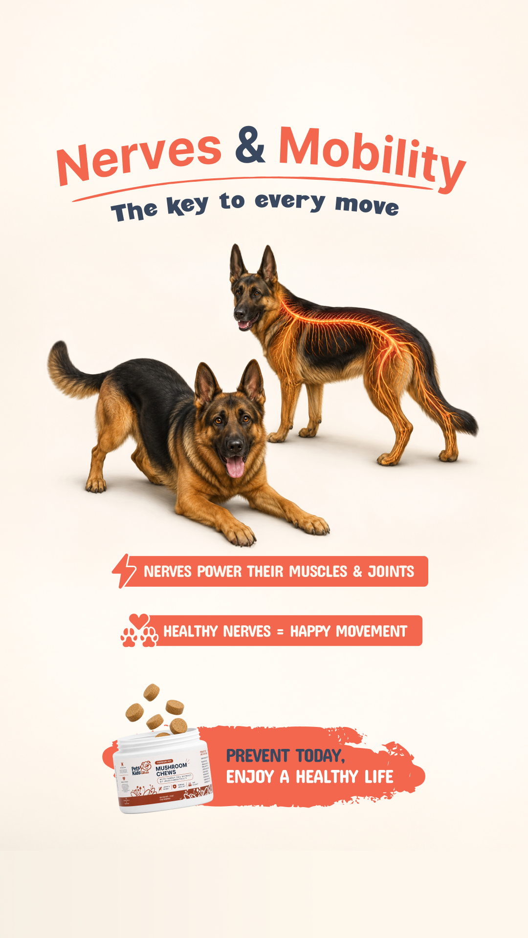 Pets Are Kids Facebook ad