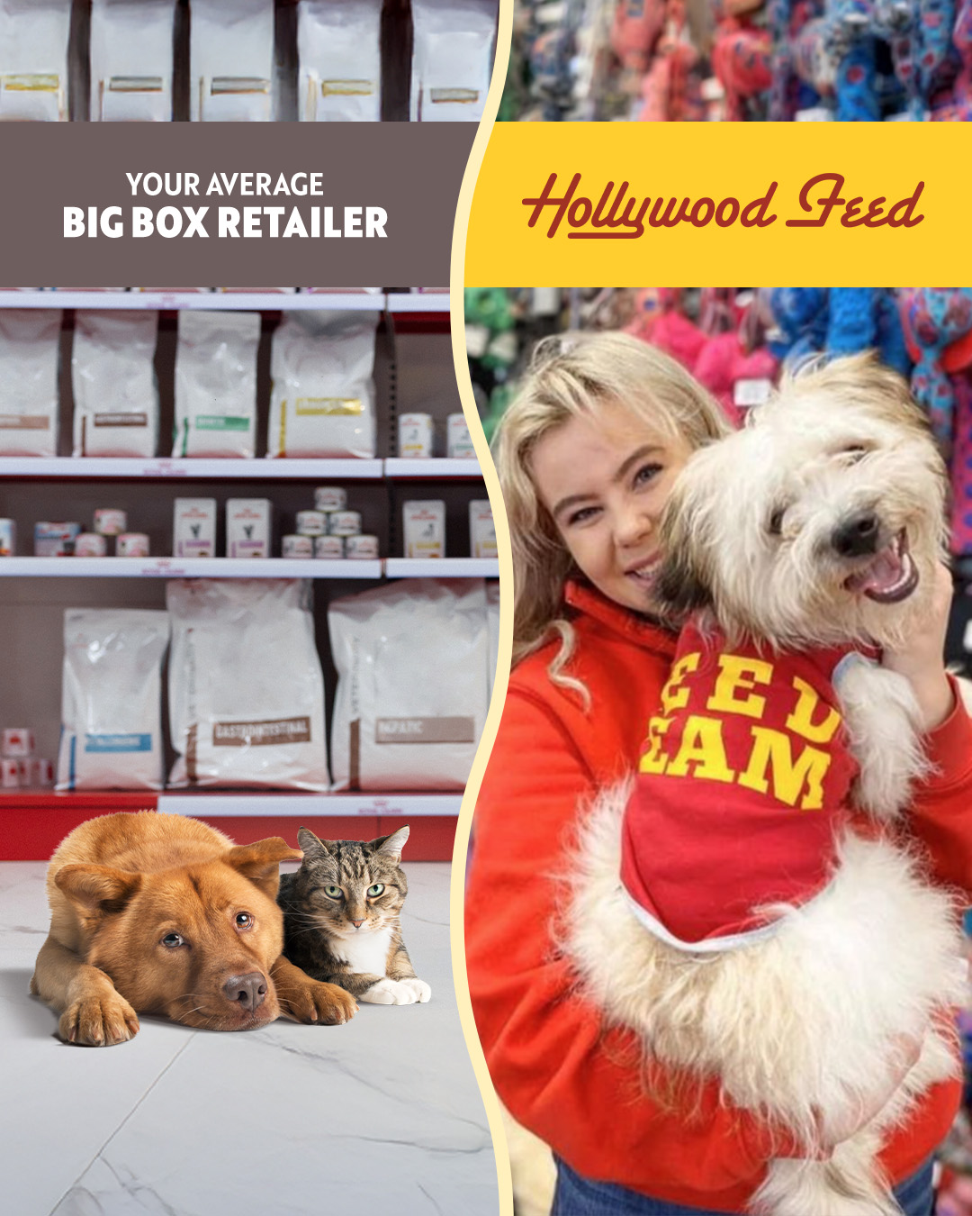 Hollywood Feed Facebook ad