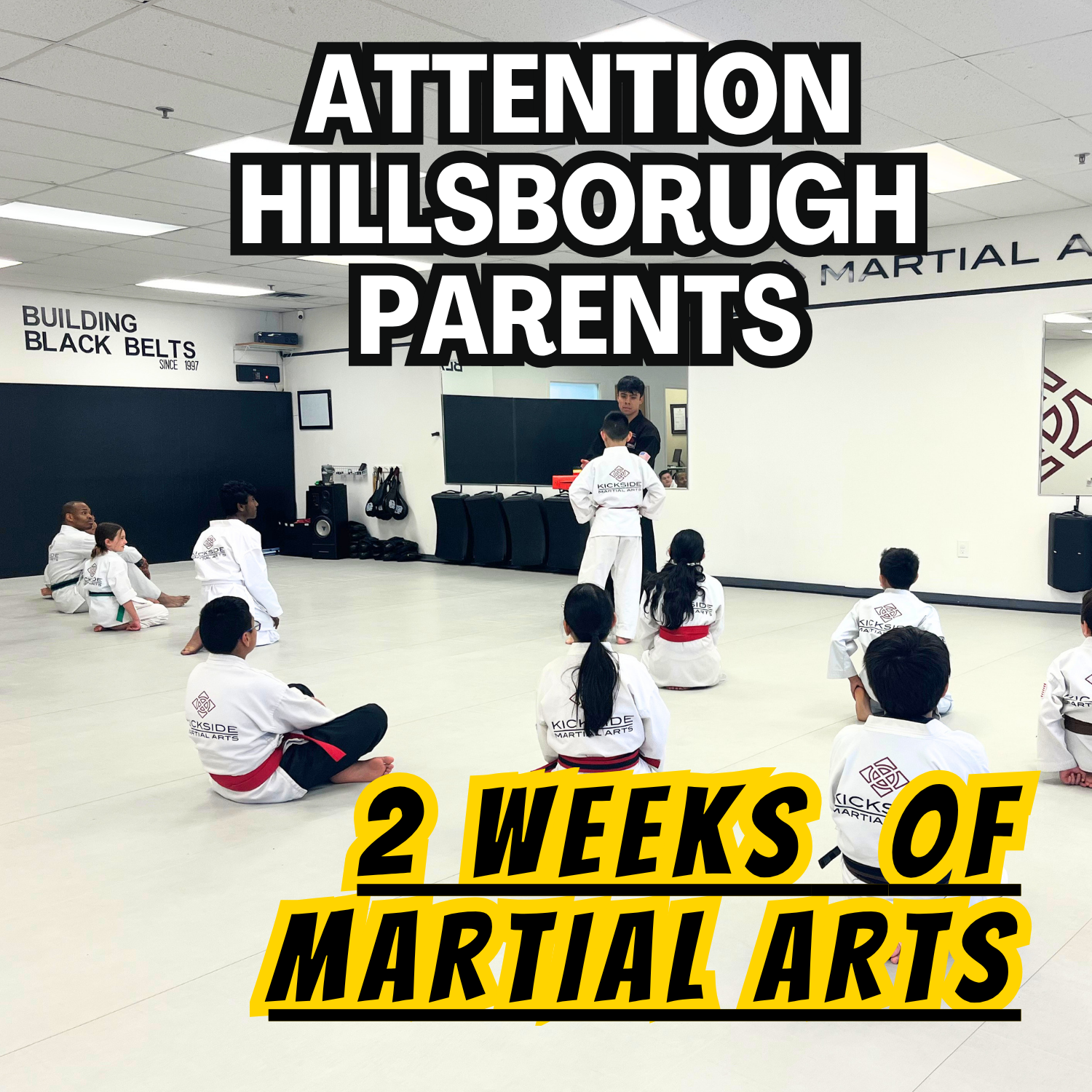 Kickside Martial Arts Hillsborough Facebook ad: We've been building kids in Hillsborough since 2013.