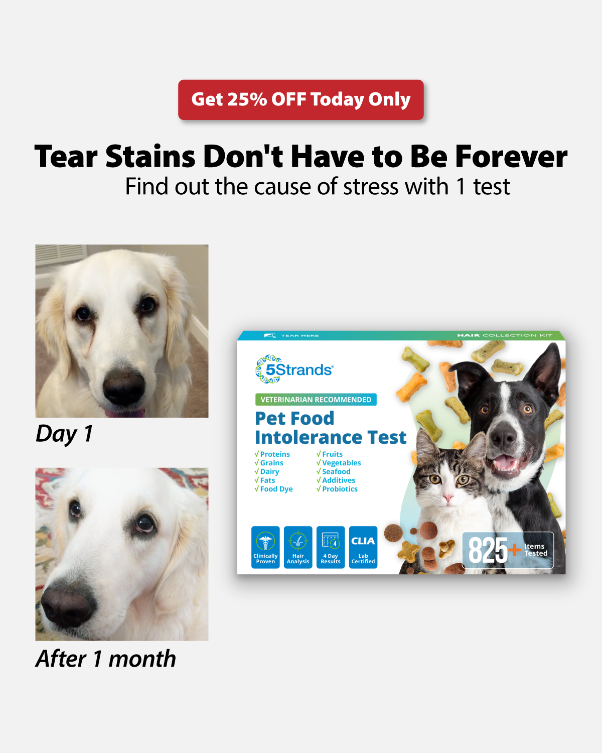 5Strands Affordable Testing Facebook ad