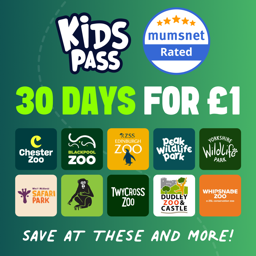 Kids Pass Facebook ad