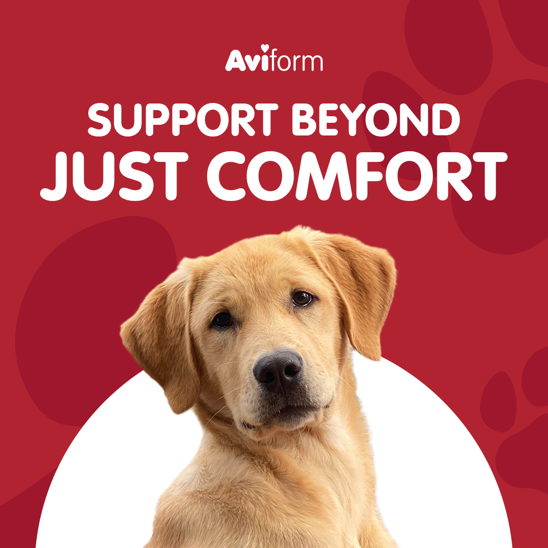 Aviform Nutrition UK - Horse & Dog Facebook ad