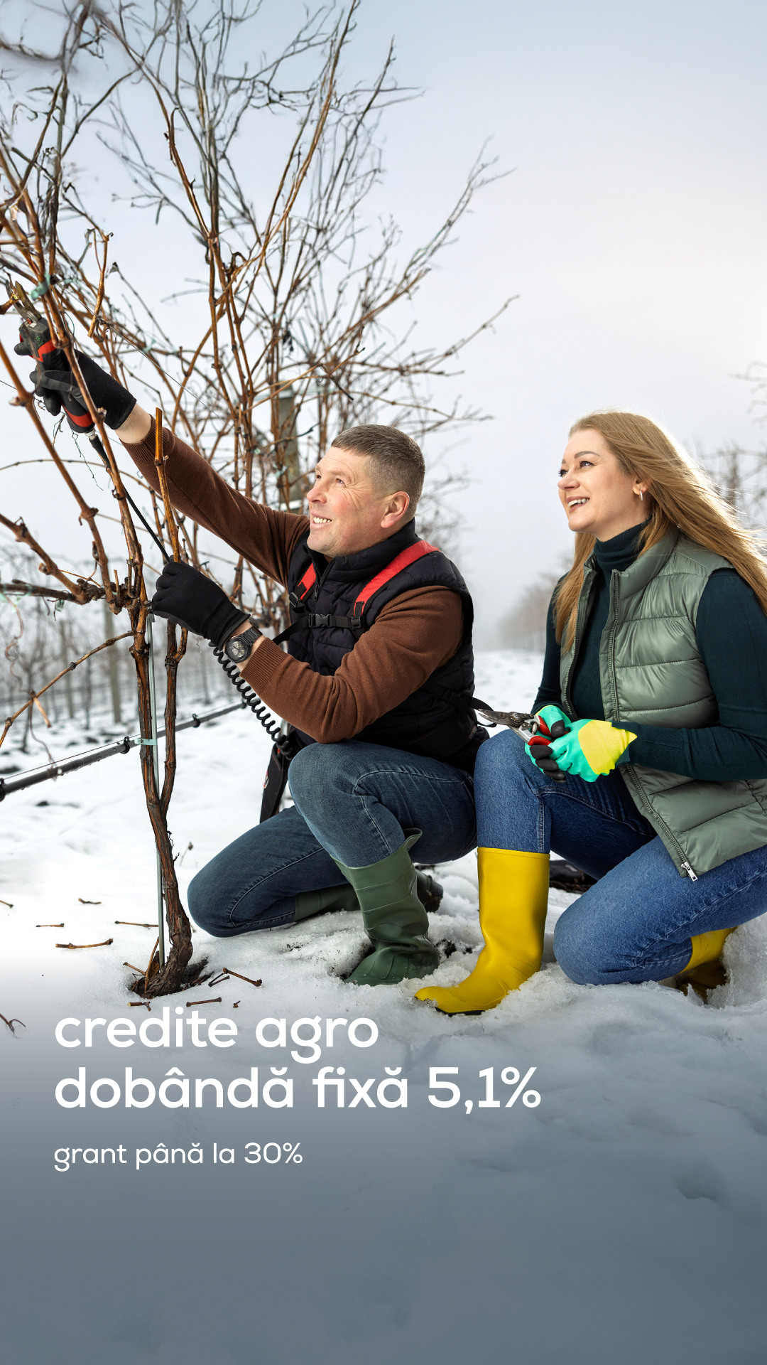 maib business Facebook ad: Maib sprijină agricultorii și în sezonul agricol 2026