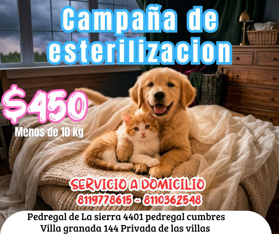 Veterinaria pedregal Facebook ad: CAMPAÑA DE ESTERILIZACIÓN