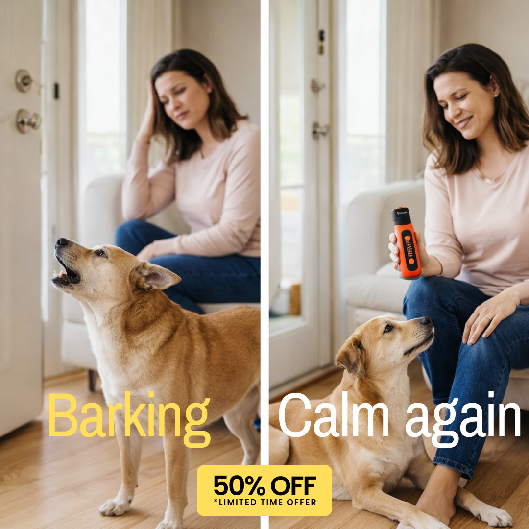Hunters Doggy Daycare Facebook ad