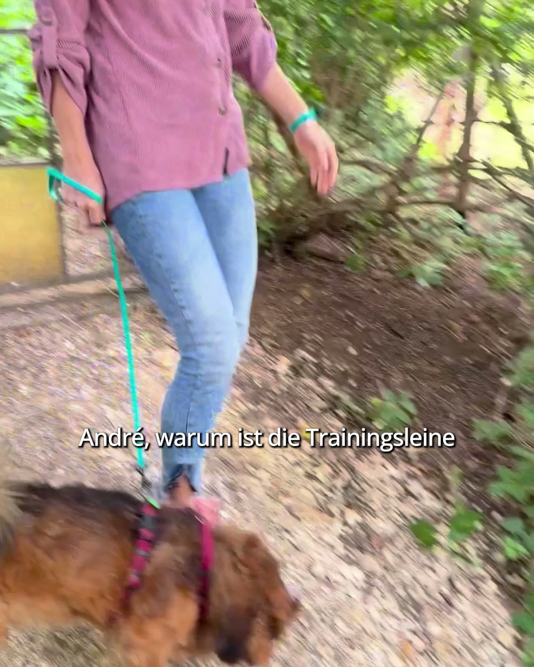André Vogt - Der Welpentrainer Facebook ad: Jetzt Leine sichern!