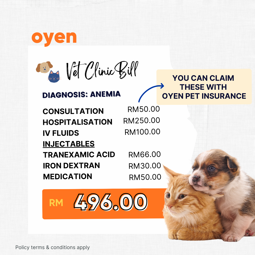 Oyen Pet Insurance & Takaful Kucing Facebook ad