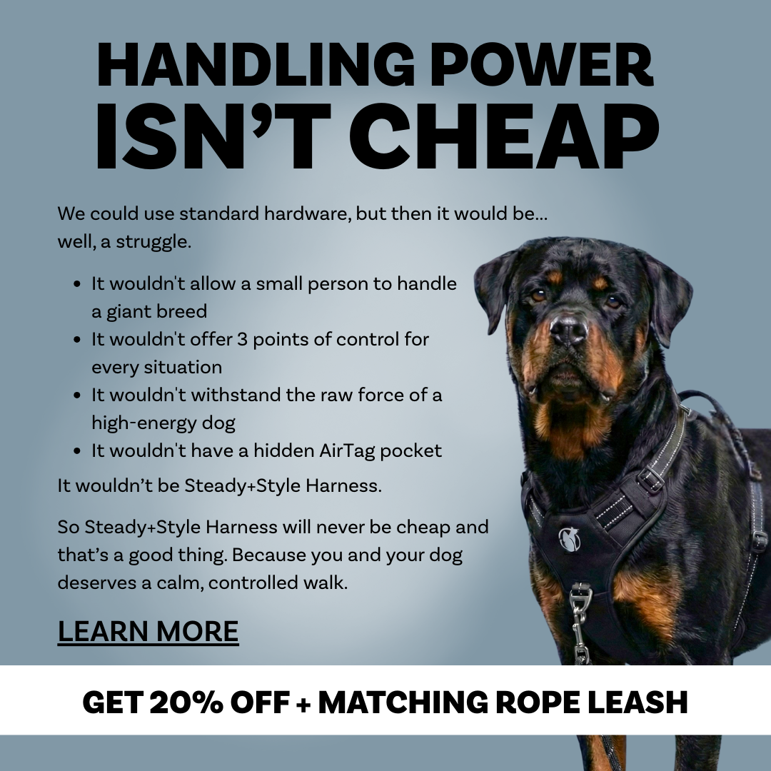 PawSafe Facebook ad