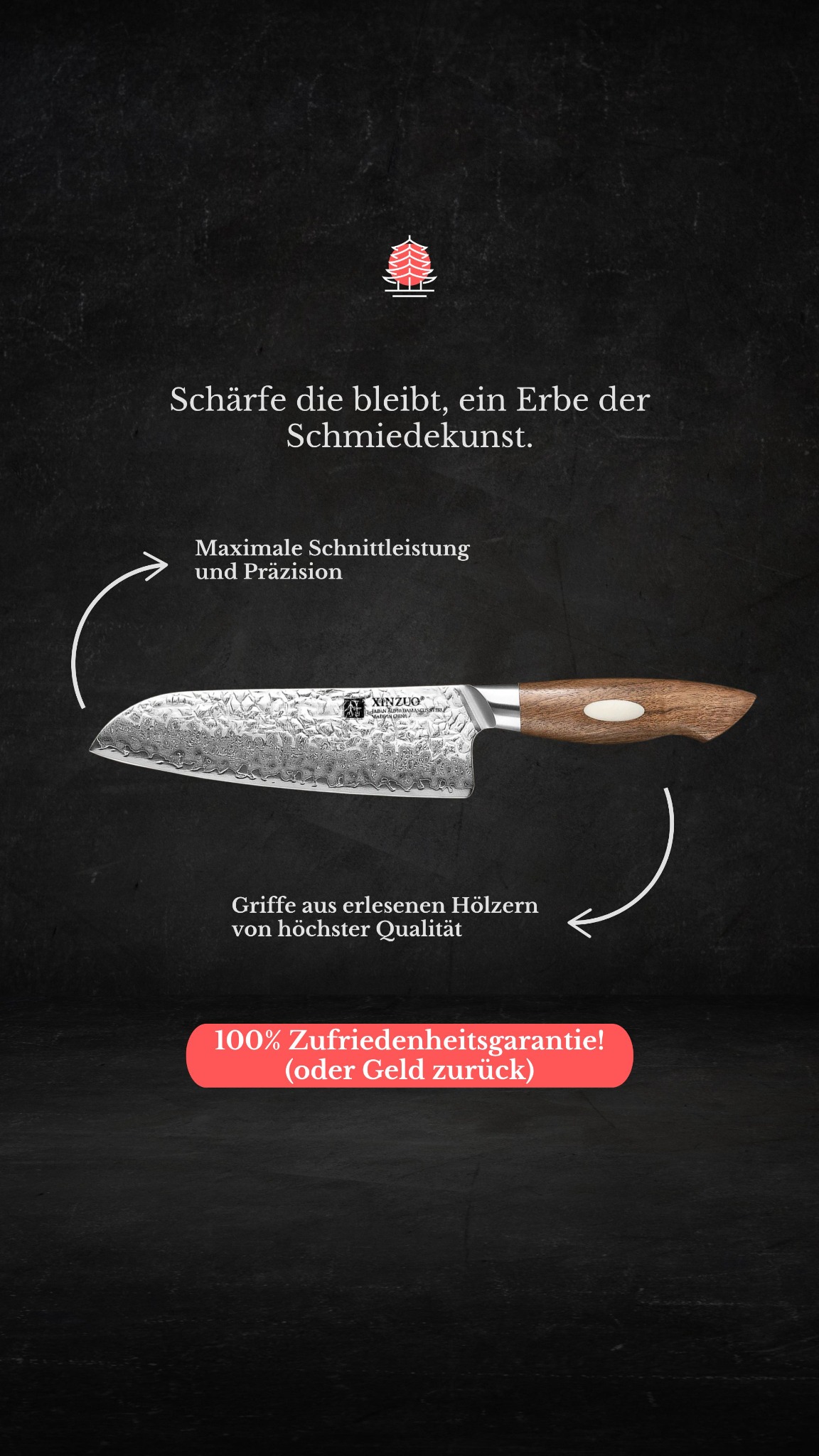 Hocho.ch Facebook ad
