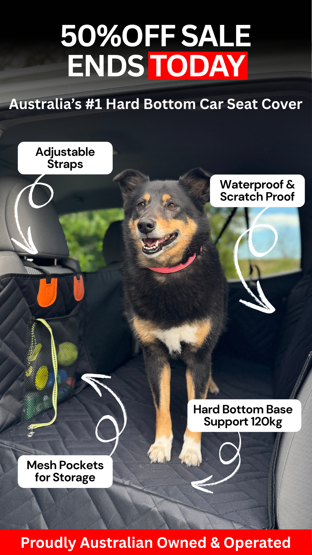 Companion&Co Facebook ad