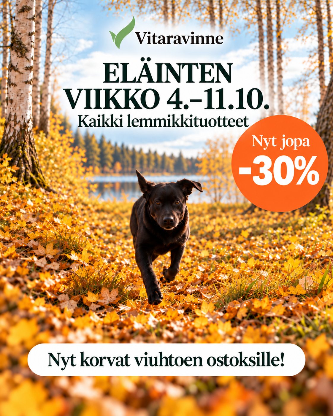 Vitaravinne Facebook ad: Vitaravinne, Vitamiinit, ravintolisät & luontaistuotteet…
