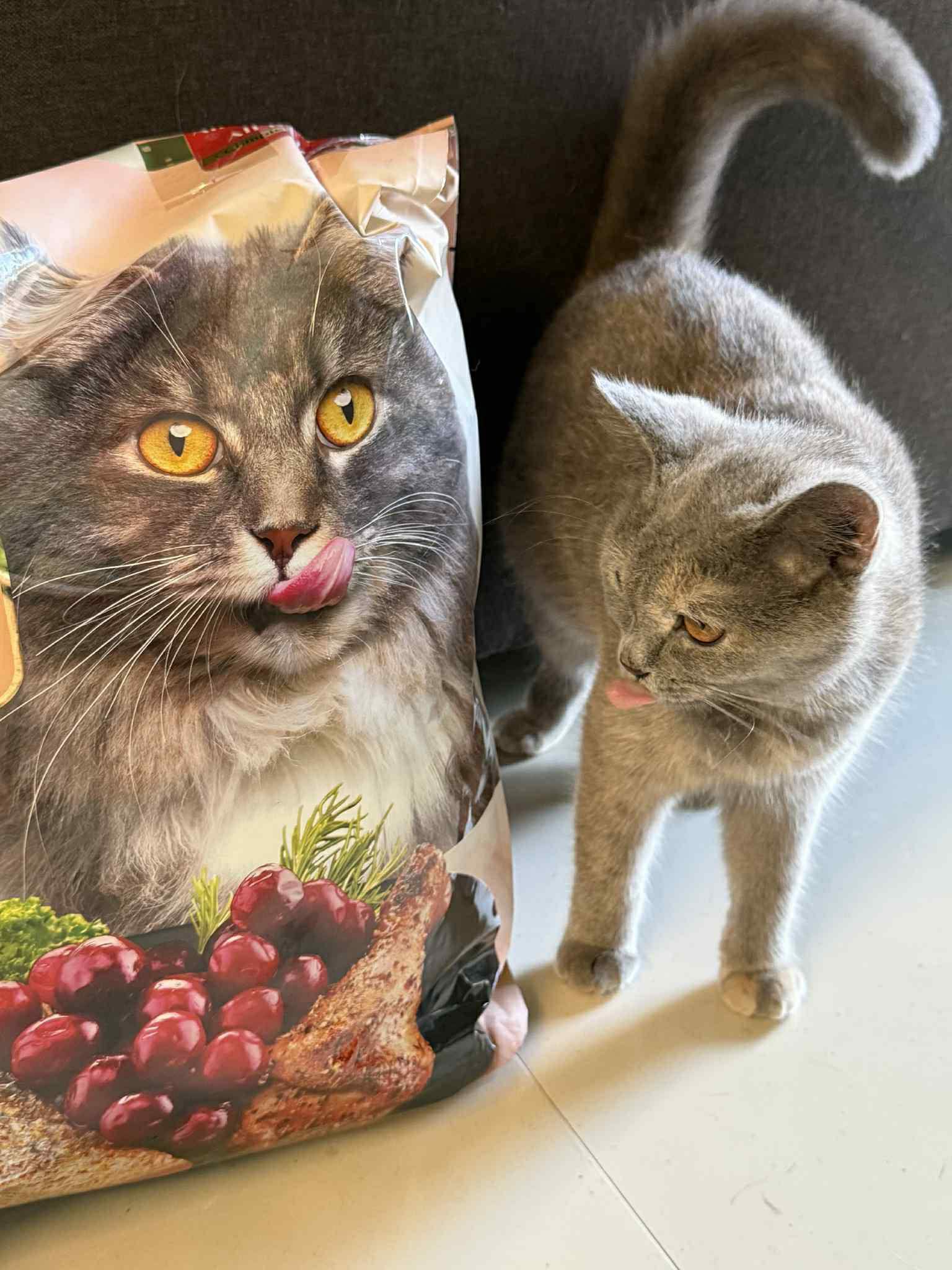 Freya Premium Cat Food Facebook ad