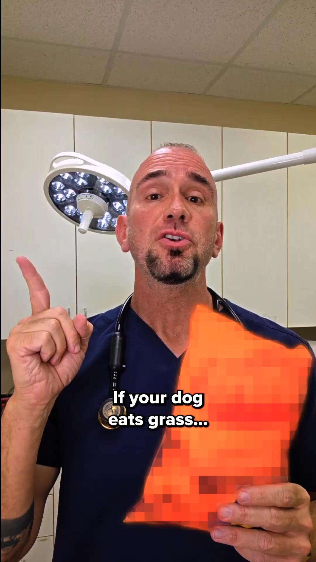 PetLab Co. Facebook ad: How to tell if your dog's gut needs help