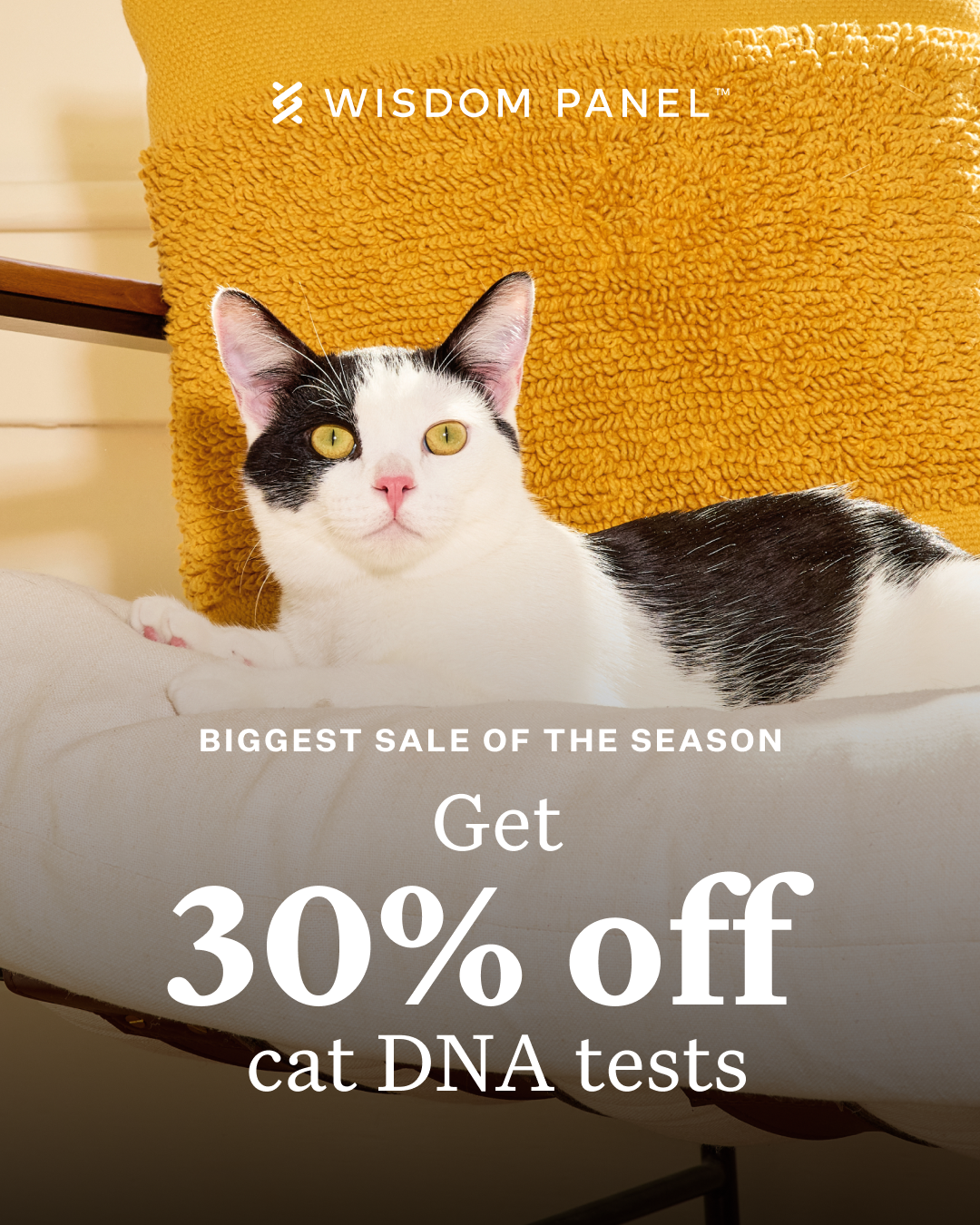 Wisdom Panel Facebook ad