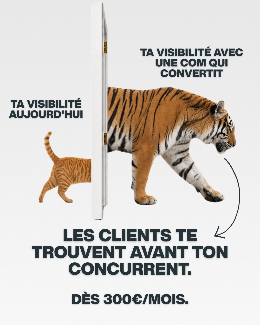 Oviga Facebook ad from Jun 5, 2026
